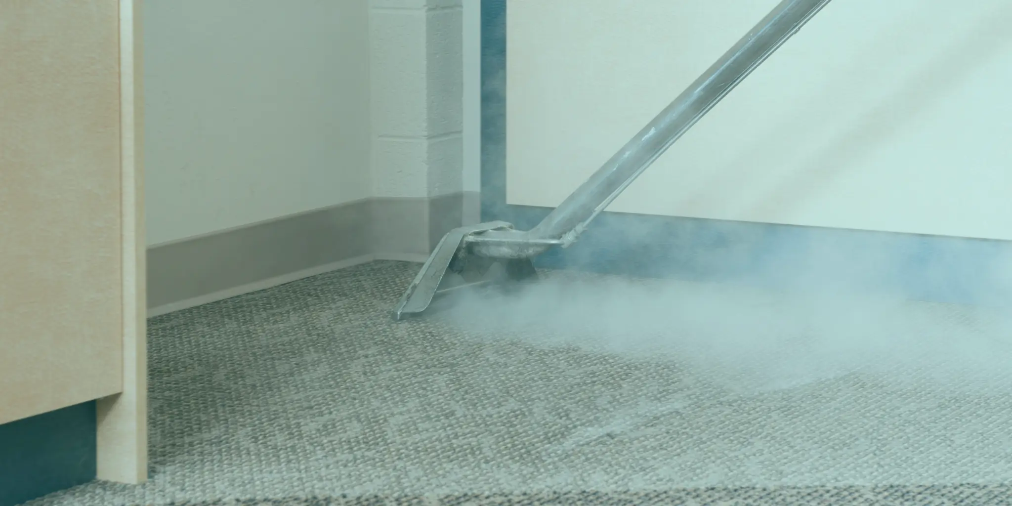 NDIS Hoarding & Squalor Cleaning Professional NDIS Upholstery Cleaning Brighton